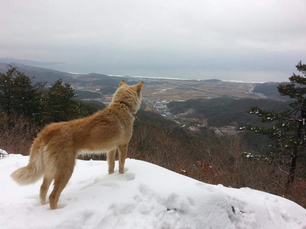 Red Clay Pension Dream Conversation Donghae Exterior photo